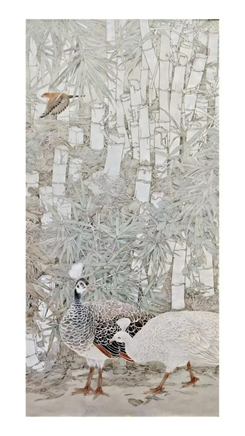 pg齫(ٷ)IOS/׿/ֻAPP